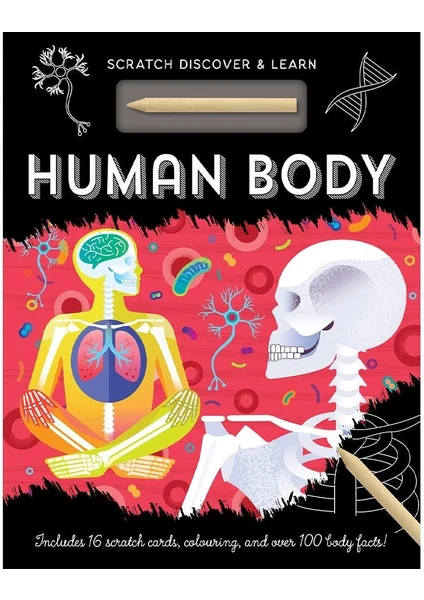 Human Body - Scratch, Discover And Learn resmi